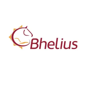 logo bhelius
